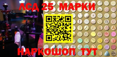 PSILOCYBIN Гудермес