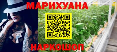 PSILOCYBIN Гудермес