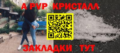 PSILOCYBIN Гудермес