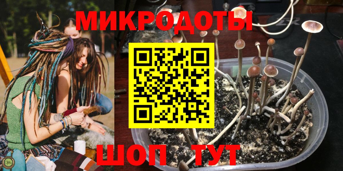 наркота  Вход с VPN  Псилоцибиновые грибы MAGIC MUSHROOMS  Заводоуковск  Псилоцибиновые грибы Cubensis 