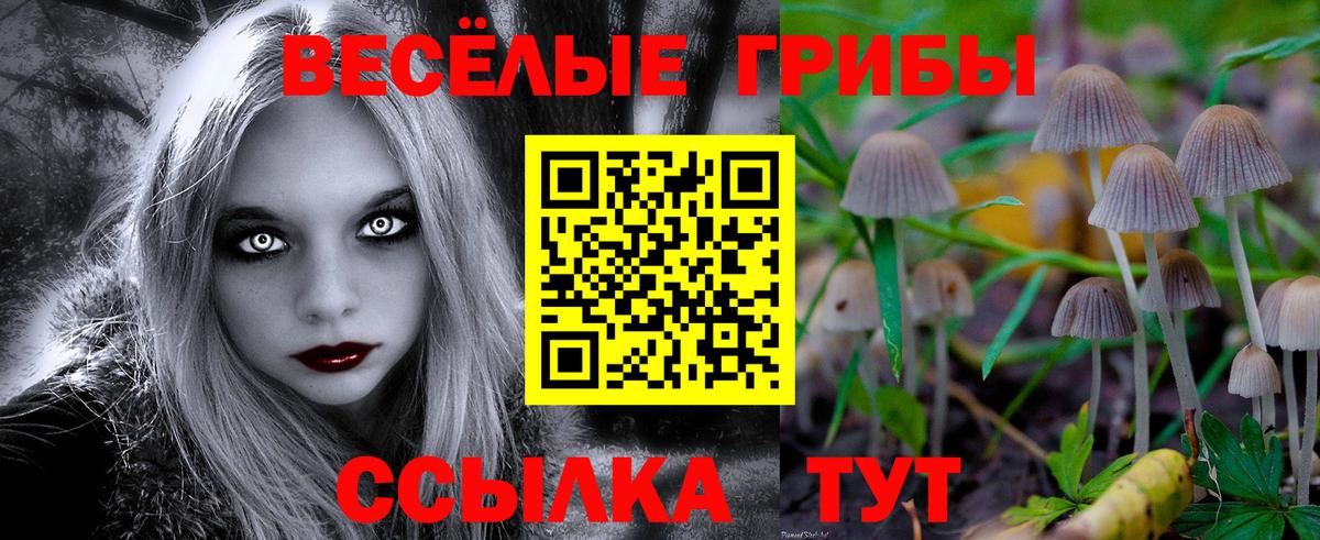 Псилоцибиновые грибы Cubensis Заводоуковск